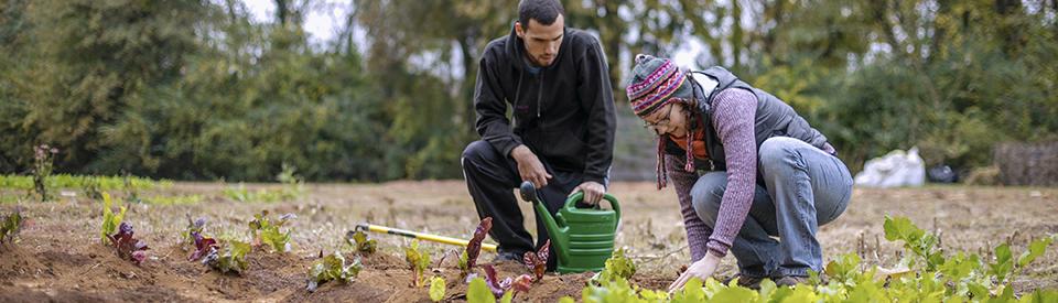 Dr. Susan Caplow and student cultivating plants at Community Garden